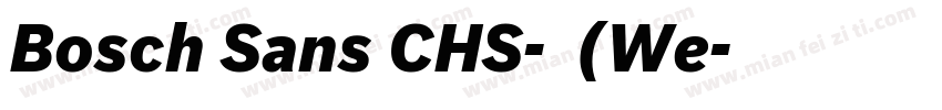 Bosch Sans CHS-普通(We字体转换